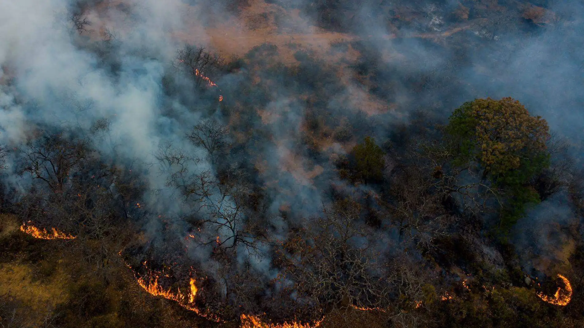 Incendios forestales en SLP